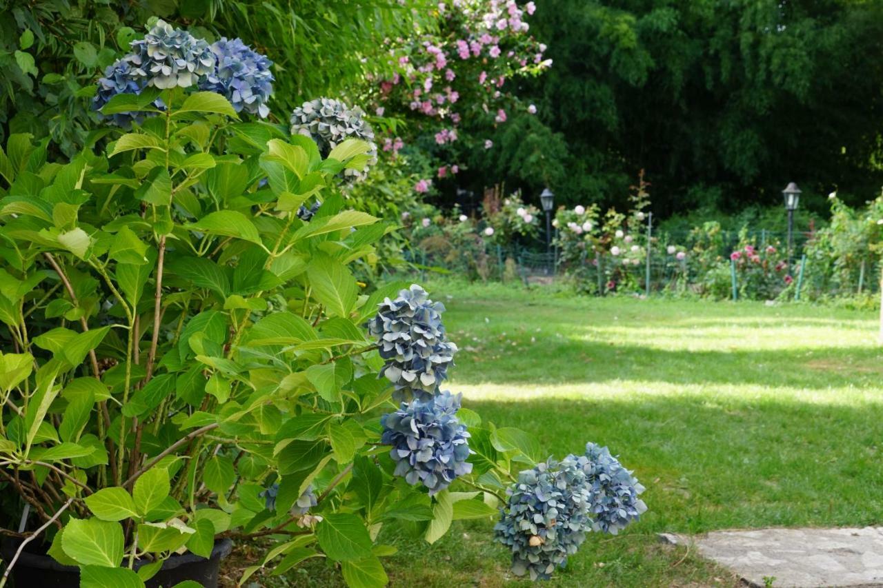 Cerelles Le Moulin De La Planche Bed & Breakfast エクステリア 写真