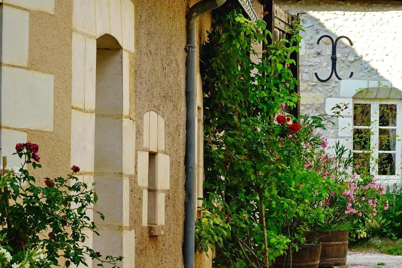 Cerelles Le Moulin De La Planche Bed & Breakfast エクステリア 写真