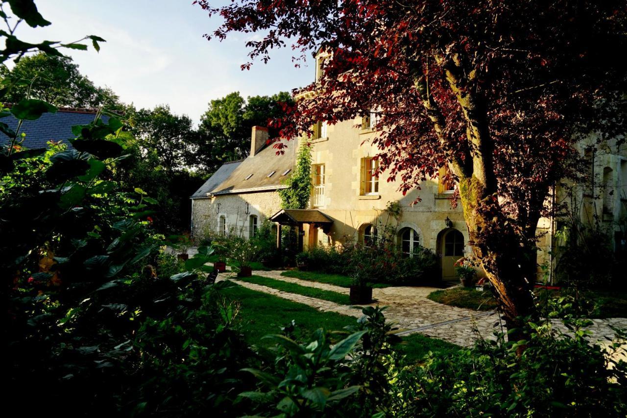 Cerelles Le Moulin De La Planche Bed & Breakfast エクステリア 写真