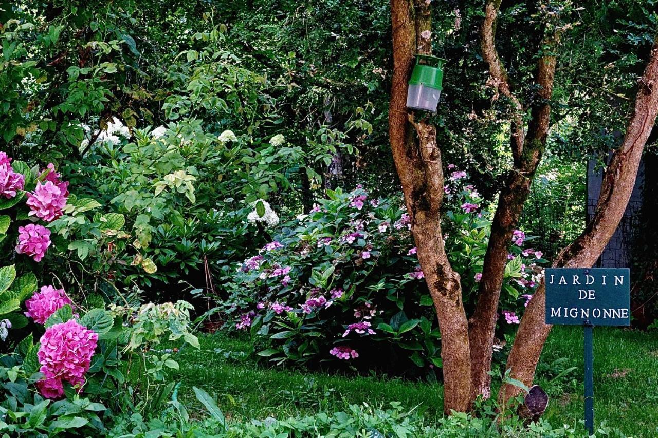 Cerelles Le Moulin De La Planche Bed & Breakfast エクステリア 写真